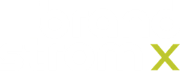 BrandStrom X
